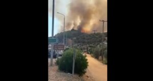 Στο Ευηνοχώρι μετά τις 17:30 του Σαββάτου (02/08) ξέσπασε φωτιά σε δασική έκταση και ήχησε το 112.