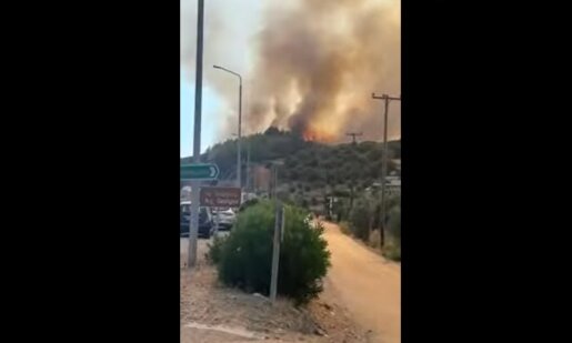 Στο Ευηνοχώρι μετά τις 17:30 του Σαββάτου (02/08) ξέσπασε φωτιά σε δασική έκταση και ήχησε το 112.