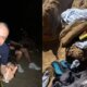 Ο ΛΕΞ εκτός από συναυλίες πηγαίνε και διακοπές με φίλους, χαμός στο Instagram με τις φωτογραφίες που δημοσίευσε.