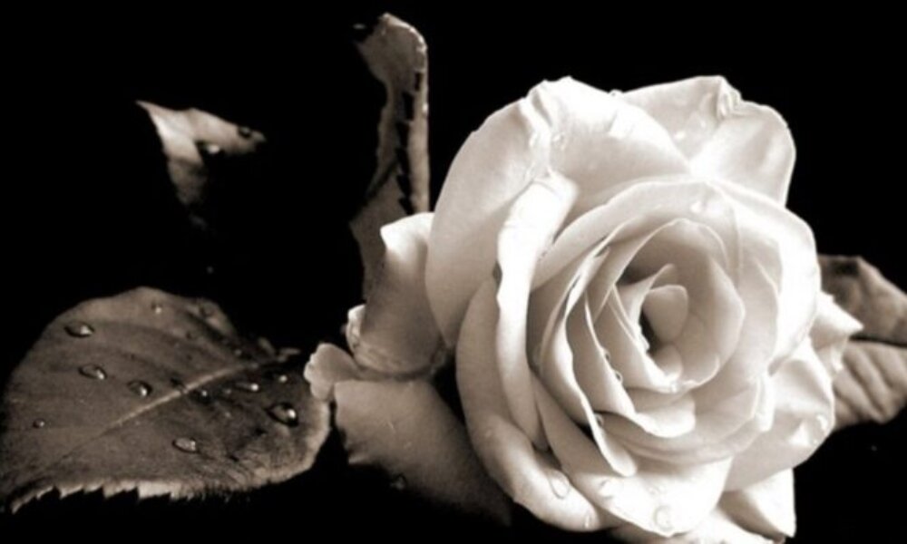 Η Βασιλική Μουρτζιάπη του Φωτίου και χήρα Βασιλείου Τσέπα άφησε την τελευταία της πνοή στα 55 της, Απέραντη θλίψη στη Στράτο Αγρινίου.