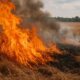 Η ΠΕ.ΠΥ.Δ. Δυτικής Ελλάδας υπενθυμίζει σε όλους τις απαγορεύσεις καύσης αλλά και τα μέτρα πρόληψης κατά την αντιπυρική περίοδο του 2025 η οποία βρίσκεται σε εξέλιξη.