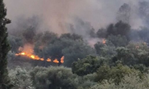 Ο Δήμος Ι.Π. Μεσολογγίου και η Σταμνά περνούν δύσκολες ώρες μετά τα πύρινα μέτωπα, οι κάτοικοι συγκεντρώθηκαν στην Παραλία.