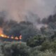 Ο Δήμος Ι.Π. Μεσολογγίου και η Σταμνά περνούν δύσκολες ώρες μετά τα πύρινα μέτωπα, οι κάτοικοι συγκεντρώθηκαν στην Παραλία.