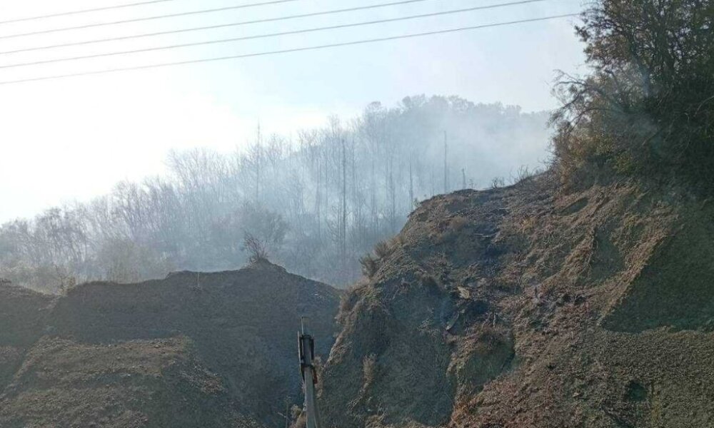 Στο Αγρίνιο και συγκεκριμένα στην Ποταμούλα η φωτιά που ξέσπασε νωρίς το απόγευμα είναι σε ύφεση.