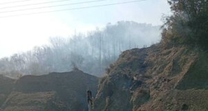 Στο Αγρίνιο και συγκεκριμένα στην Ποταμούλα η φωτιά που ξέσπασε νωρίς το απόγευμα είναι σε ύφεση.