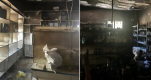 Στο Νέο Χαλκιόπουλο Βάλτου σημειώθηκε ολοσχερής καταστροφή Super Market μετά από φωτιά - Έκκληση για στήριξη στην οικογένεια.