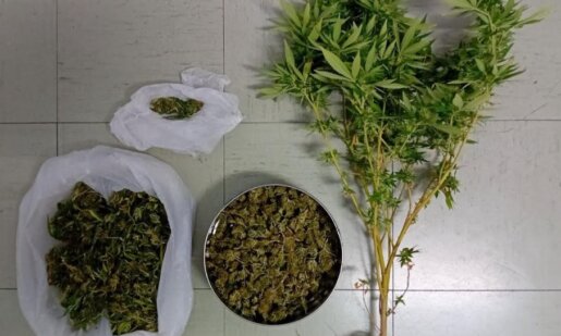 Η ΕΛ.ΑΣ. γνωστοποιεί πως το απόγευμα της 24ης Σεπτεμβρίου συνελήφθη άνδρας στο Μεσολόγγι για καλλιέργεια και κατοχή ναρκωτικών.