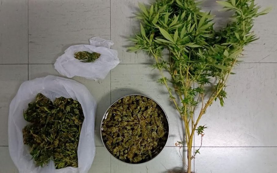Η ΕΛ.ΑΣ. γνωστοποιεί πως το απόγευμα της 24ης Σεπτεμβρίου συνελήφθη άνδρας στο Μεσολόγγι για καλλιέργεια και κατοχή ναρκωτικών.