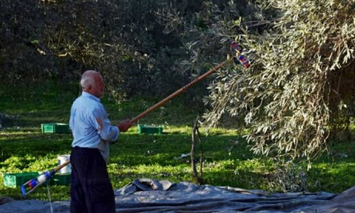 Ο Νίκος Μπίλιας έφυγε από τη ζωή σε ηλικία 72 ετών και η Ποταμούλα Αγρινίου πενθεί για την απώλειά του, ήταν συνταξιούχος οικοδόμος.