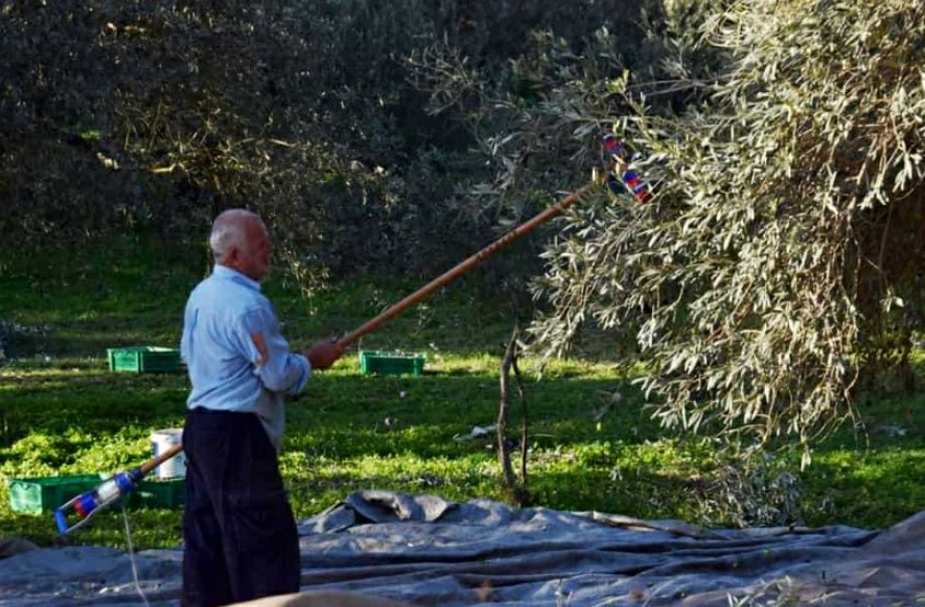 Ο Νίκος Μπίλιας έφυγε από τη ζωή σε ηλικία 72 ετών και η Ποταμούλα Αγρινίου πενθεί για την απώλειά του, ήταν συνταξιούχος οικοδόμος.