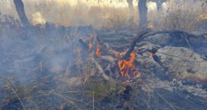 Στο Αρχαίο Θέατρο Οινιάδων έσπευσε ο Αντιδήμαρχος Ι.Π. Μεσολογγίου Νίκος Παπανικολάου και άνδρες της Π.Υ. για μεγάλη φωτιά, σηκώθηκαν και εναέρια μέσα.