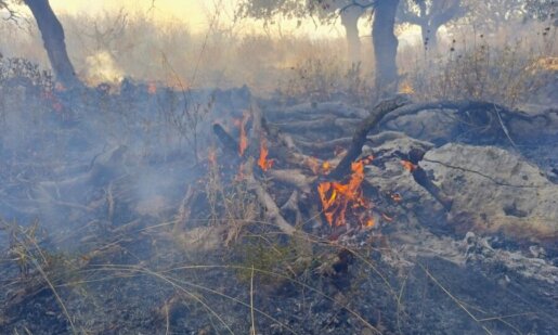 Στο Αρχαίο Θέατρο Οινιάδων έσπευσε ο Αντιδήμαρχος Ι.Π. Μεσολογγίου Νίκος Παπανικολάου και άνδρες της Π.Υ. για μεγάλη φωτιά, σηκώθηκαν και εναέρια μέσα.