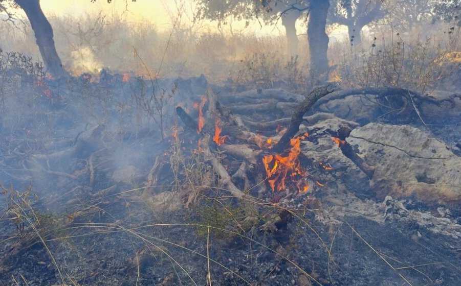 Στο Αρχαίο Θέατρο Οινιάδων έσπευσε ο Αντιδήμαρχος Ι.Π. Μεσολογγίου Νίκος Παπανικολάου και άνδρες της Π.Υ. για μεγάλη φωτιά, σηκώθηκαν και εναέρια μέσα.