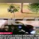 Ο Βασίλης Μπισμπίκης οδηγήθηκε την 29η Σεπτεμβρίου στον Εισαγγελέα μετά τις καταστροφές σε παρκαρισμένα αυτοκίνητα στη Φιλοθέη και την εγκατάλειψη