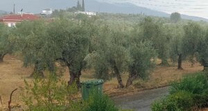 Ο Καιρός αλλάζει σταδιακά, μόλις χθες (04/09) στο Αγρίνιο έβρεξε μετά από έναν μήνα και κάτι... ήταν το πρώτο φθινοπωρινό μπουρίνι!