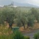 Ο Καιρός αλλάζει σταδιακά, μόλις χθες (04/09) στο Αγρίνιο έβρεξε μετά από έναν μήνα και κάτι... ήταν το πρώτο φθινοπωρινό μπουρίνι!