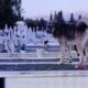 Στο Κοιμητήριο Αγρίνιου δεκάδες αδέσποτα σκυλιά φοβίζουν τους συγγενείς νεκρών σε σημείο που -όπως  καταγγέλλουν- δεν τολμούν να ανάψουν τα καντήλια.
