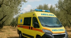 Στο Αγρίνιο νωρίς το μεσημέρι της Κυριακής, 5 Οκτωβρίου 2025 ένας ηλικιωμένος άνδρας εντοπίστηκε νεκρός σε ελαιώνα της πόλης.