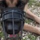 Ένα απίστευτο συμβάν σημειώθηκε στη Μακρυνεία και πιο συγκεκριμένα στην Παραλία Καψοράχης καθώς ένας εκπαιδευόμενος σκύλος εντόπισε φόλες.