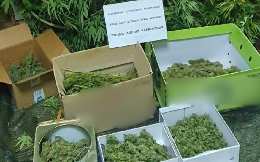 Η ΕΛ.ΑΣ. έκανε γνωστό πως στο Αγρίνιο την 10η Οκτωβρίου συνελήφθη ένας άνδρας για διακίνηση, καλλιέργεια και κατοχή ναρκωτικών ουσιών.