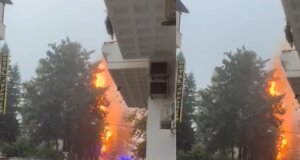 Η νεροποντή στη Ναύπακτο προκάλεσε σοβαρά προβλήματα - Κεραυνός χτύπησε δέντρο στο Γρίμποβο, παρέμβαση της Πυροσβεστικής.