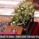 Ο Διονύσης Σαββόπουλος έφυγε προ ημερών σε ηλικία 80 ετών - Πλήθος κόσμου είπε το τελευταίο «αντίο» στον σπουδαίο τραγουδοποιό.