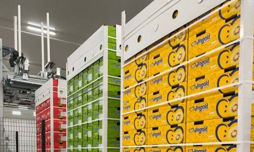 Ο Αγροτικός Συνεταιρισμός Νεάπολης Αγρινίου δέχεται αιτήσεις για πρόσληψη εποχιακών εργατών για το συσκευαστήριο ακτινιδίων στο Πλάτανο Καλυβίων.