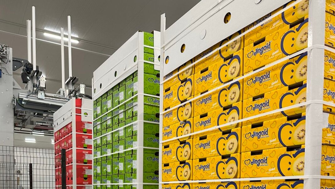 Ο Αγροτικός Συνεταιρισμός Νεάπολης Αγρινίου δέχεται αιτήσεις για πρόσληψη εποχιακών εργατών για το συσκευαστήριο ακτινιδίων στο Πλάτανο Καλυβίων.