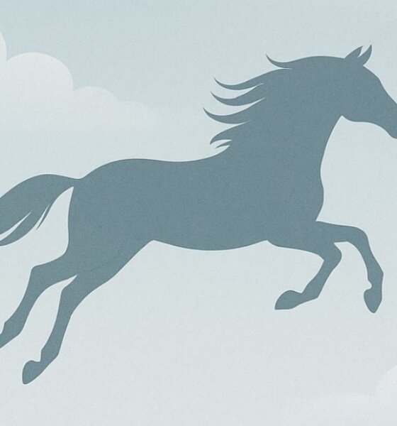 Στην περιοχή Στράτος Αγρινίου ξημερώματα Δευτέρας (24/11) άλογο χτυπήθηκε από Ι.Χ. και ο Ε.Σ.Π.Ι. γνωστοποιήθηκε πως σημειώθηκε ευθανασία για να μην παραταθεί το μαρτύριό του.