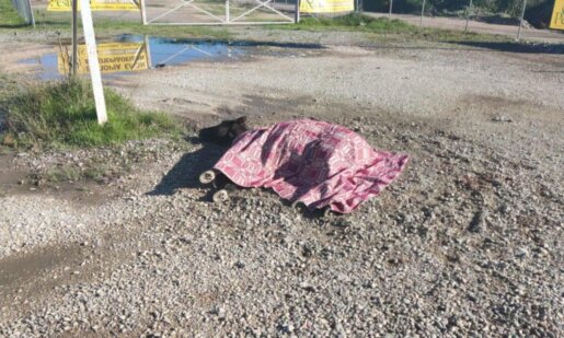 Στο Αγρίνιο και συγκεκριμένα στην περιοχή Στράτος οδηγός ενός οχήματος τραυμάτισε και παράτησε ένα άλογο στη μέση του δρόμου ενώ κάποιος άλλος φέρεται να το σκέπασε με μία λεπτή κουβέρτα.