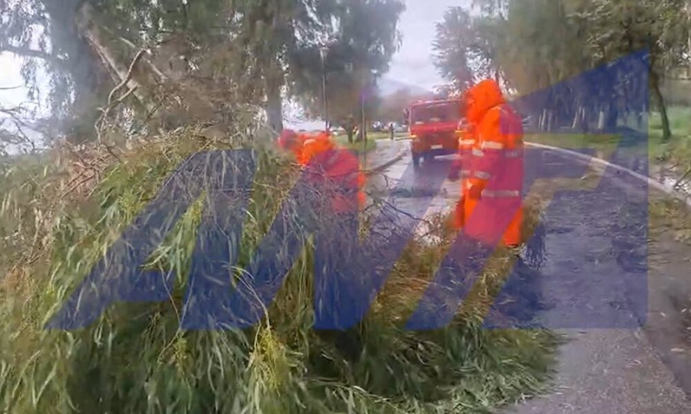 Η κακοκαιρία επηρέασε και την Πάτρα καθώς το μεσημέρι της 10ης Νοεμβρίου είχαμε πτώση δέντρων και ζημιές σε οχήματα εξαιτίας των ισχυρών ανέμων.