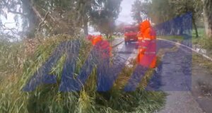 Η κακοκαιρία επηρέασε και την Πάτρα καθώς το μεσημέρι της 10ης Νοεμβρίου είχαμε πτώση δέντρων και ζημιές σε οχήματα εξαιτίας των ισχυρών ανέμων.