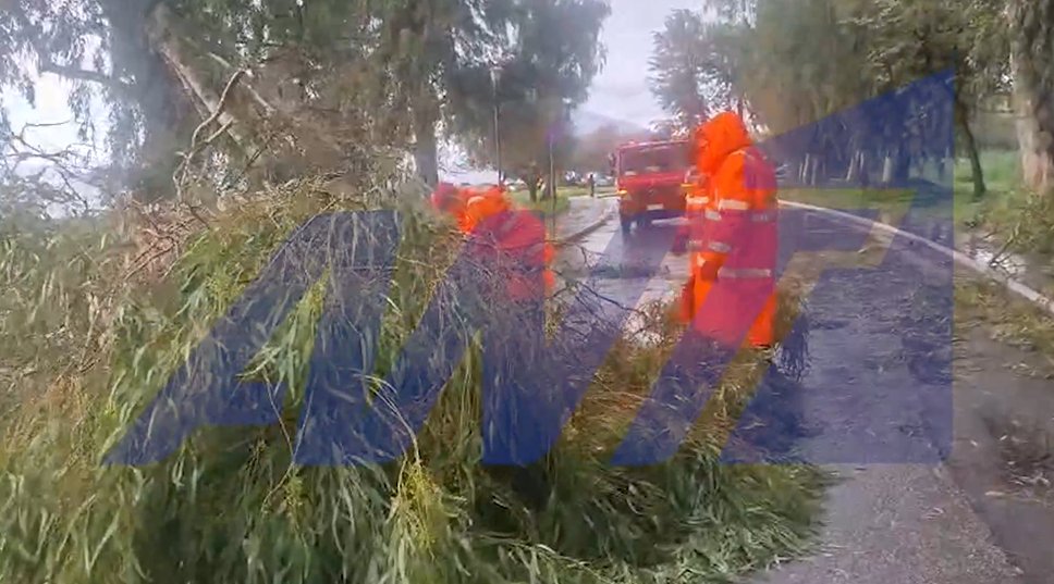 Η κακοκαιρία επηρέασε και την Πάτρα καθώς το μεσημέρι της 10ης Νοεμβρίου είχαμε πτώση δέντρων και ζημιές σε οχήματα εξαιτίας των ισχυρών ανέμων.