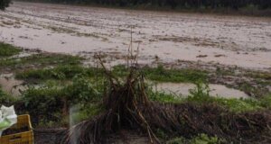 Η κακοκαιρία δεν άργησε να... επισκεφτεί και το Αγρίνιο - Οι πρώτες έντονες βροχοπτώσεις προκάλεσαν προβλήματα σε δρόμους της πόλης.