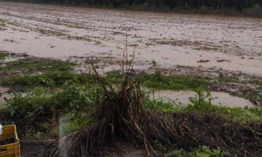 Η κακοκαιρία δεν άργησε να... επισκεφτεί και το Αγρίνιο - Οι πρώτες έντονες βροχοπτώσεις προκάλεσαν προβλήματα σε δρόμους της πόλης.