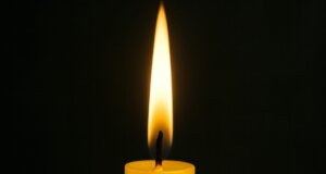 Η Ελευθερία Κονιώση, σύζυγος Ναπολέων, άφησε την τελευταία της πνοή σε ηλικία 68 ετών και στο Αγρίνιο πενθούν στο άκουσμα της θλιβερής είδησης.