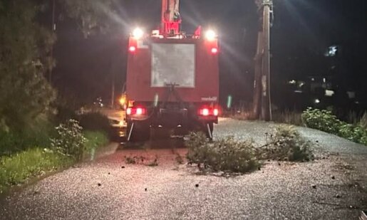 Στο Αγγελόκαστρο Αγρινίου κατά τις απογευματινές ώρες της 28ης Νοεμβρίου 2025 σημειώθηκε πτώση δέντρου σε ηλεκτροφόρα καλώδια εξαιτίας της κακοκαιρίας.