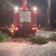 Στο Αγγελόκαστρο Αγρινίου κατά τις απογευματινές ώρες της 28ης Νοεμβρίου 2025 σημειώθηκε πτώση δέντρου σε ηλεκτροφόρα καλώδια εξαιτίας της κακοκαιρίας.