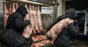 Στη Δωρίδα τα ξημερώματα της Τρίτης, 16 Δεκεμβρίου 2025 άγνωστοι έκαναν διάρρηξη σε κρεοπωλείο κλέβοντας τεράστια ποσότητα κρεάτων αλλά και χρήματα.