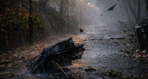 Στο Αγρίνιο υπήρξε ενημέρωση κατά τις βραδινές ώρες της 20ης Ιανουαρίου για την αναστολή λειτουργίας Δημοτικών Δομών την Τετάρτη, 21 Ιανουαρίου 2026.