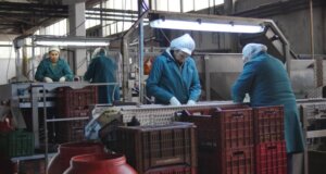 Η Ένωση Αγρινίου το πρωί της Δευτέρας, 26 Ιανουαρίου 2026 εξέδωσε ανακοίνωση για πρόσληψη εργατριών στο εργοστάσιο ελιάς στη Σπολάιτα.