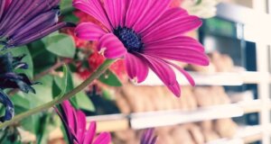 Ο Σπύρος Παππάς του Βασίλειου έφυγε από τη ζωή σε ηλικία 79 ετών - Το Αγρίνιο θρηνεί για τον χαμό του Ιδρυτή και Προέδρου της Αρτοβιομηχανίας «Σιτάνθη».