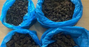 Η ΕΛ.ΑΣ. έκανε γνωστό πως συνελήφθη άνδρας για διακίνηση ναρκωτικών στην Ηλεία, κατασχέθηκαν 540 γραμμάρια κάνναβης.