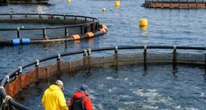 Ημερίδα αναμένεται να πραγματοποιηθεί στη Δυτική Ελλάδα για την Ιχθυοκαλλιέργεια και την τοπική ανάπτυξη, υπό την πρωτοβουλία της Δρ. Διονυσίας Αυγερινοπούλου και με χορηγία της ΕΛ.Ο.Π.Υ.