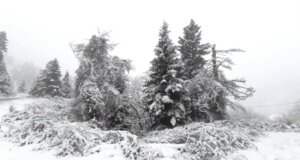 Από το Λαμπίρι προς τα Αραποκέφαλα το τοπίο είναι μαγικό... - Τα δάση και οι γύρω κορυφές «ντύθηκαν» στα λευκά επιβεβαιώνοντας πως βρισκόμαστε αισίως στην καρδιά του χειμώνα.