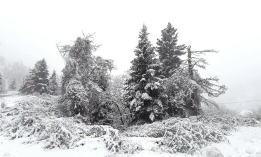 Από το Λαμπίρι προς τα Αραποκέφαλα το τοπίο είναι μαγικό... - Τα δάση και οι γύρω κορυφές «ντύθηκαν» στα λευκά επιβεβαιώνοντας πως βρισκόμαστε αισίως στην καρδιά του χειμώνα.