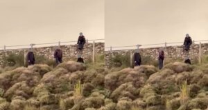 Αναστάτωση στη Μακύνεια κατά τις απογευματινές ώρες της 5ης Φεβρουαρίου - Άνδρας στα κάγκελα της Αερογέφυρας πριν τη σήραγγα, διαπραγματεύσεις με τις Αρχές.