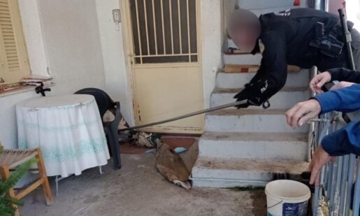 Στο Αγρίνιο το πρωί της 25ης Φεβρουαρίου στήθηκε μεγάλη επιχείρηση Αστυνομίας και Πυροσβεστικής για τη διάσωση σκύλου στην περιοχή Άη-Βασιλιώτικα.