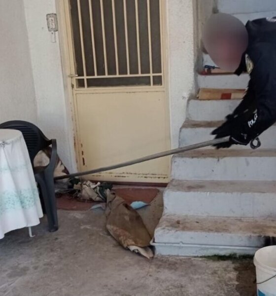 Στο Αγρίνιο το πρωί της 25ης Φεβρουαρίου στήθηκε μεγάλη επιχείρηση Αστυνομίας και Πυροσβεστικής για τη διάσωση σκύλου στην περιοχή Άη-Βασιλιώτικα.