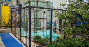 Στο Αγρίνιο από νωρίς το πρωί της Τρίτης, 17 Μαρτίου 2026 συνεργεία της Τεχνικής Υπηρεσίας προχώρησαν στην Εγκατάσταση μεταλλικής περίφραξης για να προστατευθούν οι Κίονες στη Μητρόπολη.